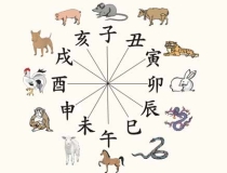 化太岁：地支六冲