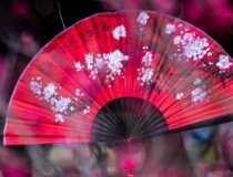 婴灵超度：化解婴灵表文,道教化解送走婴灵的科仪流程