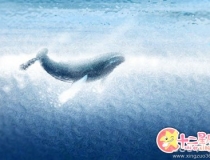 斩烂桃花：桃木剑斩桃花的方法是怎样的？如何正确的斩掉烂桃花