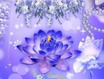 婴灵超度：心经回向功德，超度堕胎灵婴的方法