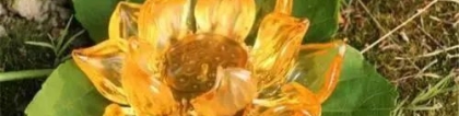 婴灵超度：超度婴灵的道观哪里好 师傅的法力才是关键