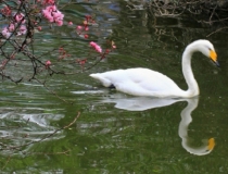 婴灵超度：渡亡婴灵文疏,先来了解被婴灵缠身的症状是如何