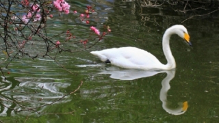 婴灵超度：渡亡婴灵文疏,先来了解被婴灵缠身的症状是如何