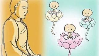 婴灵超度：道家超度坠胎婴灵方法 , 净空法师给坠胎婴灵皈依