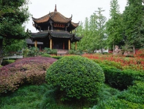 还受生债：还受生债查询表，我们总是没有财运就要赶紧还阴债