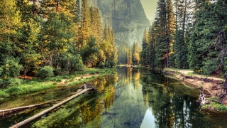 财库财运：八字，算命，命中是否有财库，怎么确认你的财库？