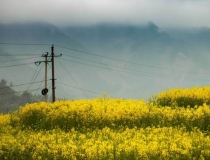超度法事：投胎技术很重要，有人帮忙超度能往生善道