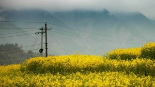 超度法事：投胎技术很重要，有人帮忙超度能往生善道