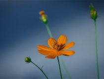 超度法事：亡灵最有效的超度咒语，帮助他们解脱