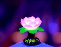 超度法事：把去世多年的人挂牌超度，能否有效果 