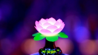 超度法事：把去世多年的人挂牌超度，能否有效果 