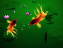 财库财运：命中有财库但是没有打开？如何确定财库是否打开