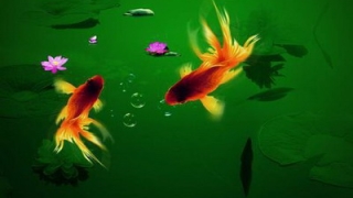 财库财运：命中有财库但是没有打开？如何确定财库是否打开