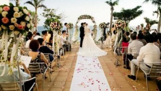 旺姻缘：女生养哪些植物容易招桃花呢？