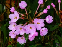 还受生债：阴债查询表还阴债的佛家与道家方法