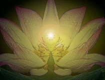 婴灵超度：打胎的报应都有这些，需要我们赶紧化解