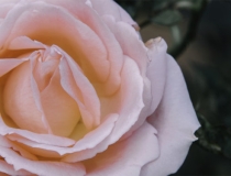 超度法事：超度亡灵法事解析，超度亡灵的效果取决这几个