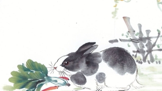 财库财运：八字中什么是财库