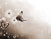 旺姻缘：桃花煞是什么意思，桃花煞代表什么意思