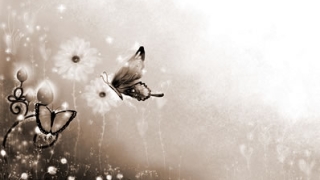 旺姻缘：桃花煞是什么意思，桃花煞代表什么意思