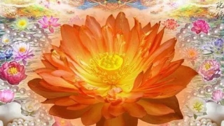 还受生债：阴债怎么还