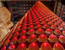 婴灵超度：打胎的因果报应解析