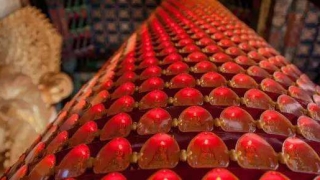 婴灵超度：打胎的因果报应解析