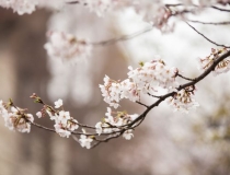 超度法事：上香拜佛讲究的禁忌，详解烧香的步骤