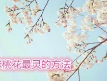 旺姻缘：催桃花最灵的方法