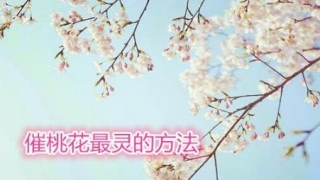 旺姻缘：催桃花最灵的方法