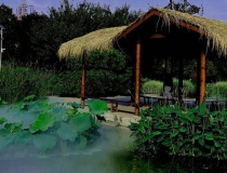 婴灵超度：怀孕多久打掉是婴灵,不仅打胎会产生婴灵