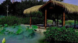 婴灵超度：怀孕多久打掉是婴灵,不仅打胎会产生婴灵