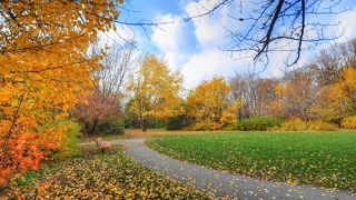 民俗文化：朱砂辟邪吗？教你如何使用朱砂来辟邪保平安