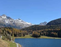 旺姻缘：几种简单的招桃花的方式 招桃花最有效的方式