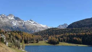 旺姻缘：几种简单的招桃花的方式 招桃花最有效的方式