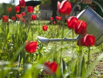 还受生债：还完阴债感觉更不顺了，这是你还阴债的方式不