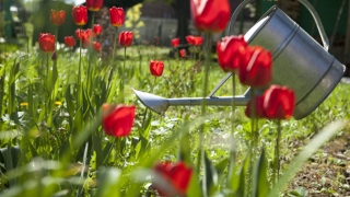 还受生债：还完阴债感觉更不顺了，这是你还阴债的方式不