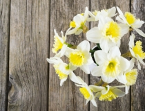 婴灵超度：堕胎婴灵道教超度仪式有没有用，看这些反应就