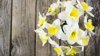 婴灵超度：堕胎婴灵道教超度仪式有没有用，看这些反应就