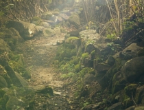 民俗文化：出生日期看两人是否配,这些方法你可以学一学