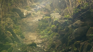 民俗文化：出生日期看两人是否配,这些方法你可以学一学