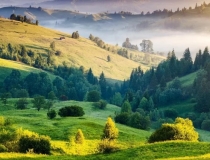 财库财运：属虎开财库的三个有效方法,快速提升财运