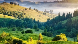 财库财运：属虎开财库的三个有效方法,快速提升财运