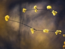 超度法事：用烟供来超度亡灵，道长是这样说的