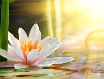 超度法事：道家超度亡灵文疏，快速帮助你转运