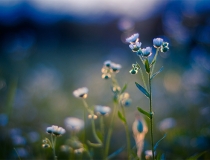 婴灵超度：堕胎后婴灵跟着的征兆，需要超度才能化解