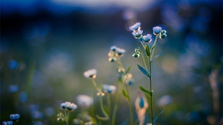 婴灵超度：堕胎后婴灵跟着的征兆，需要超度才能化解