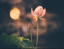 婴灵超度：不足三个月没有婴灵的说法解析