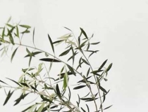 财库财运：日坐财库看丈夫,夫宫临财大富大贵