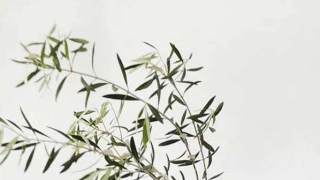 财库财运：日坐财库看丈夫,夫宫临财大富大贵